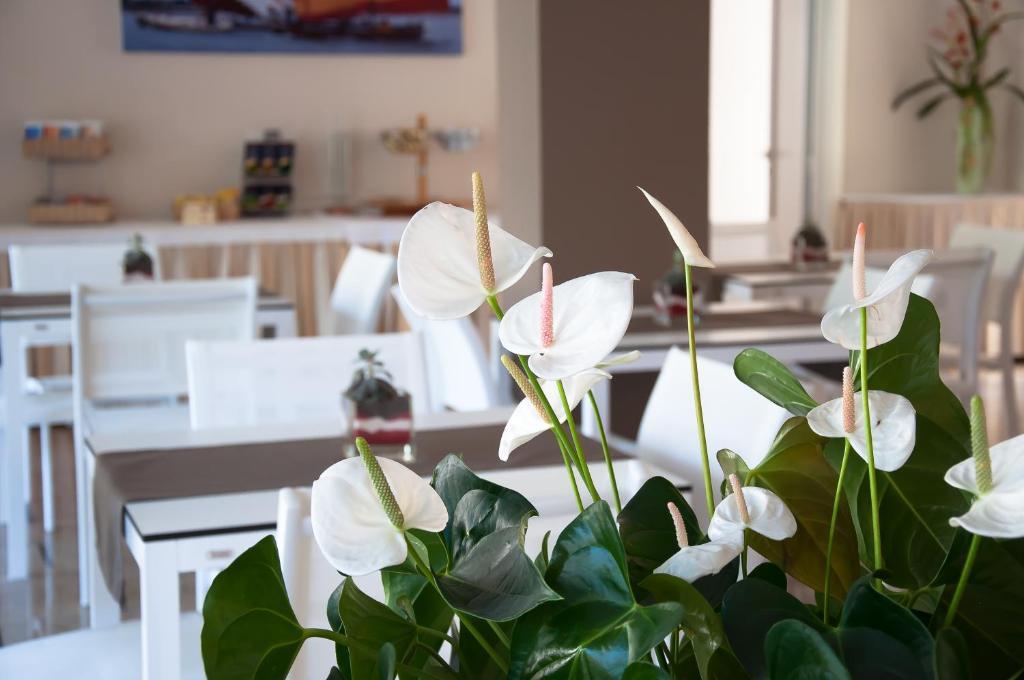 Hotel Park Spiaggia Градо Екстериор снимка